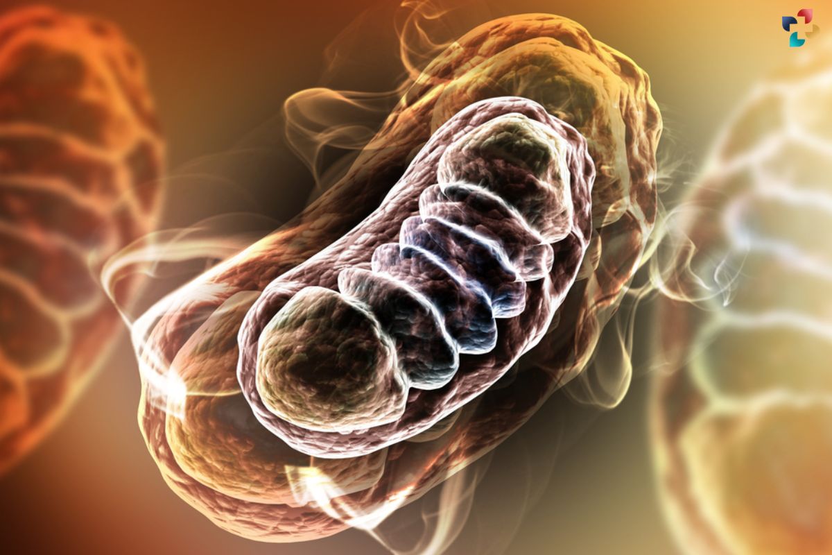 Mitochondrial Disease: Causes, Symptoms, Diagnosis, and Treatment | The Lifesciences Magazine