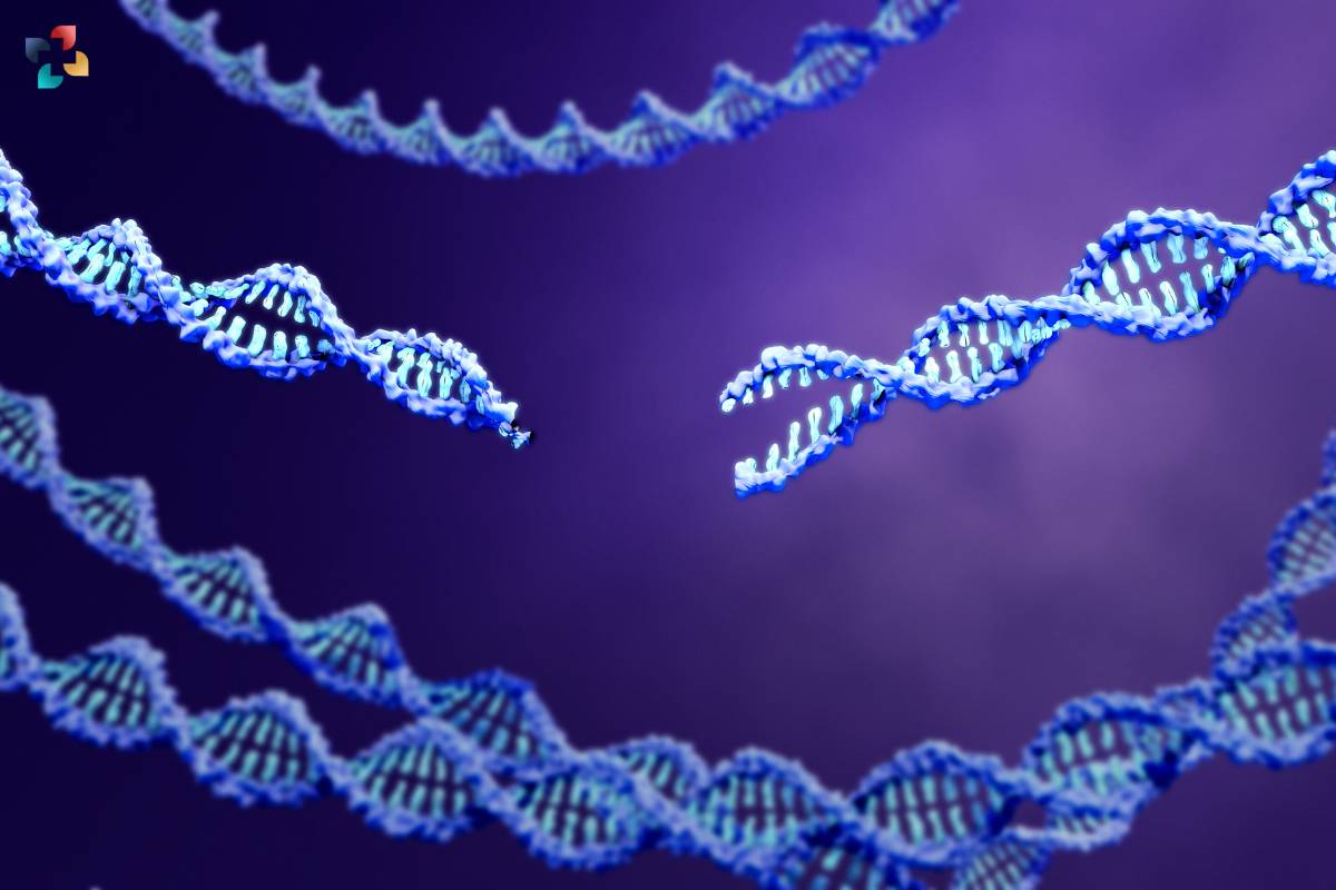 Breakthrough in Genetic Disease Therapy: CRISPR-based RNA Editing Shows Promise | The Lifesciences Magazine