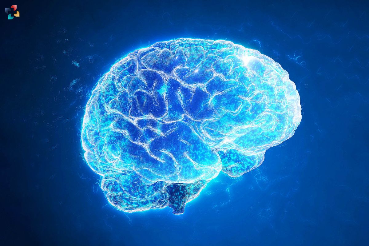 3D Reconstruction of Human Brain: A Landmark in Neuroscience Achieved by Harvard & Google | The Lifesciences Magazine