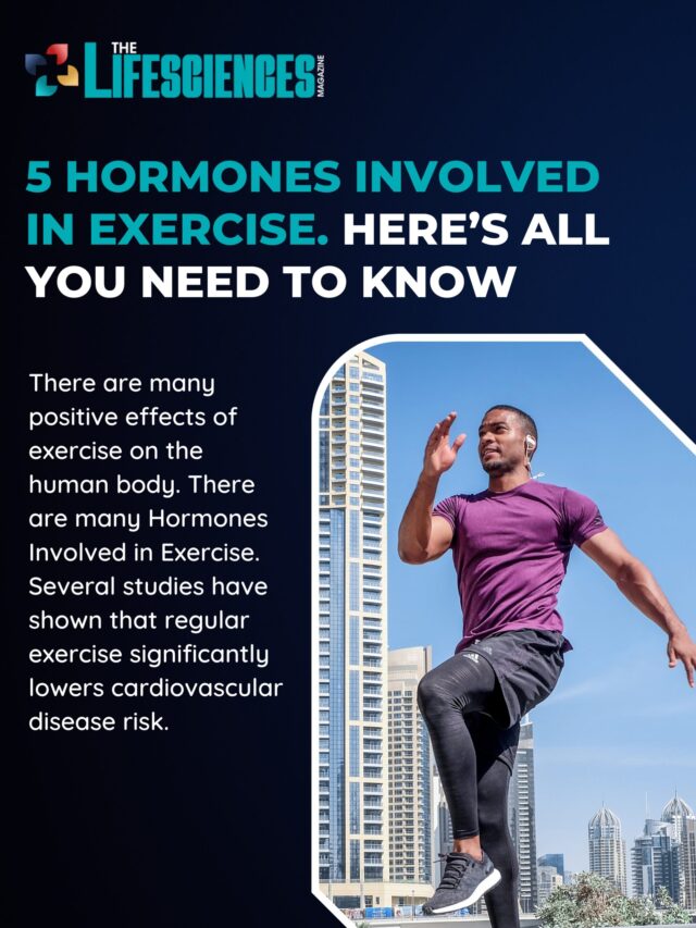 Best 5 Hormones Involved in Exercise | The Lifesciences Magazine
