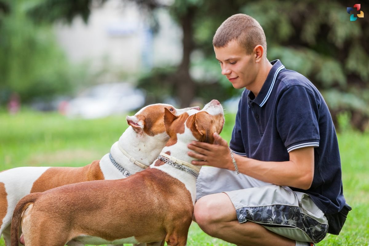 Skin Problems in Dogs: Understanding, Preventing, and Treating Canine Dermatological Issues | The Lifesciences Magazine