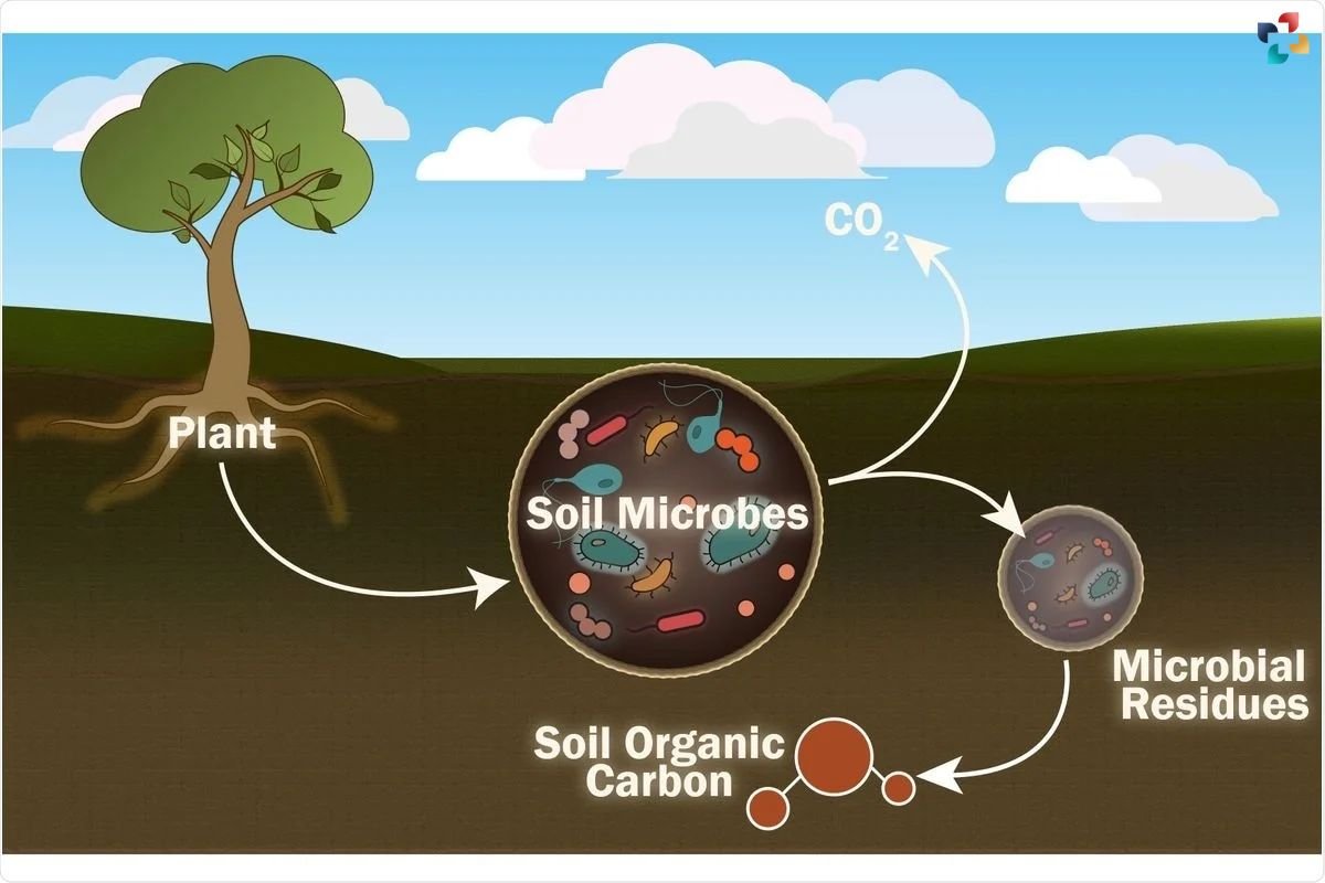 Role of Soil Microbes in Climate Change | The Lifesciences Magazine