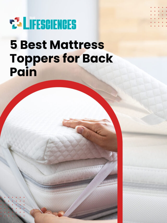 5 Best Mattress Toppers for Back Pain | The Lifesciences Magazine