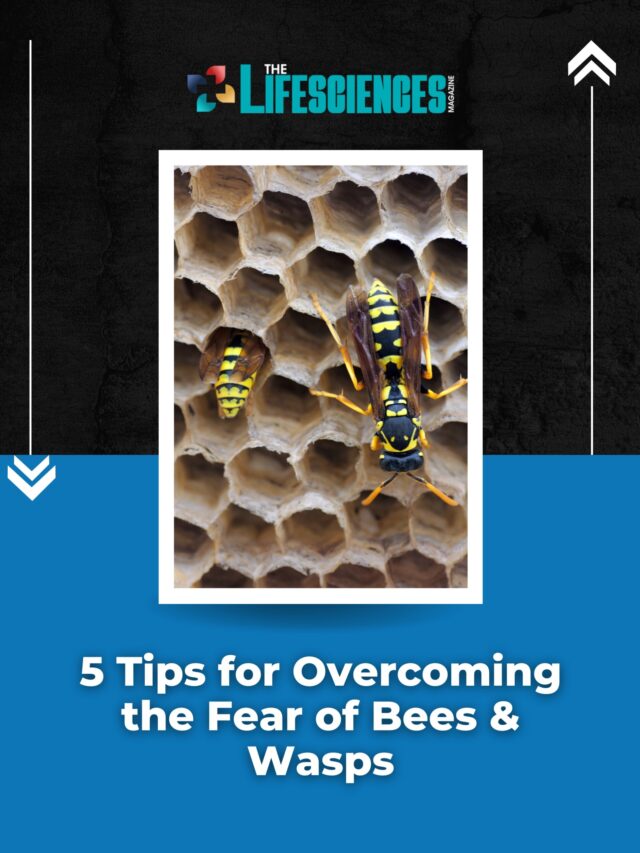 5 Tips for Overcoming the Fear of Bees & Wasps | The Lifesciences Magazine
