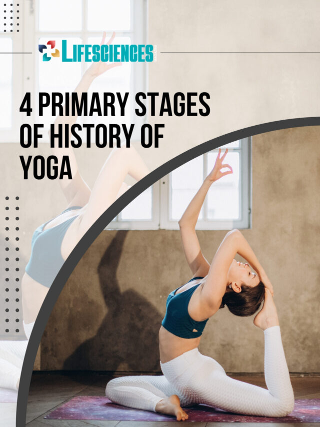 4 Primary Stages of History of Yoga | The Lifesciences Magazine