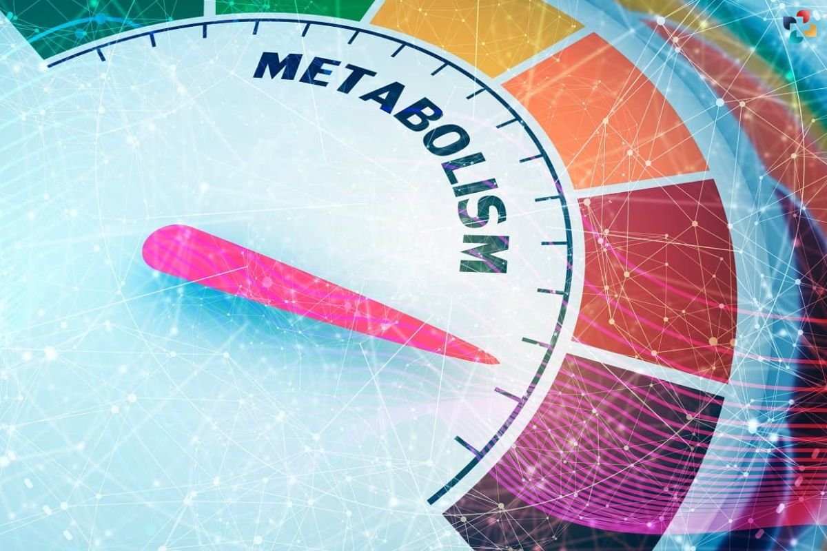 Menopause Weight Gain: Causes, Management, and Prevention | The Lifesciences Magazine