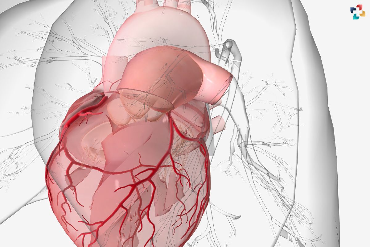 Ischemic Cardiomyopathy: Symptoms, Causes, Diagnosis, and Treatment | The Lifesciences Magazine