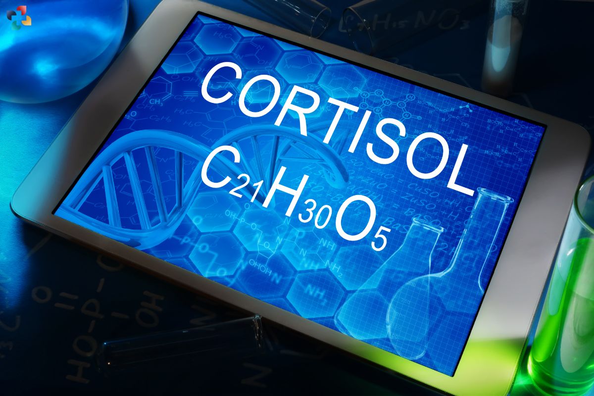 6 Fast Ways to Lower Cortisol Levels | The Lifesciences Magazine