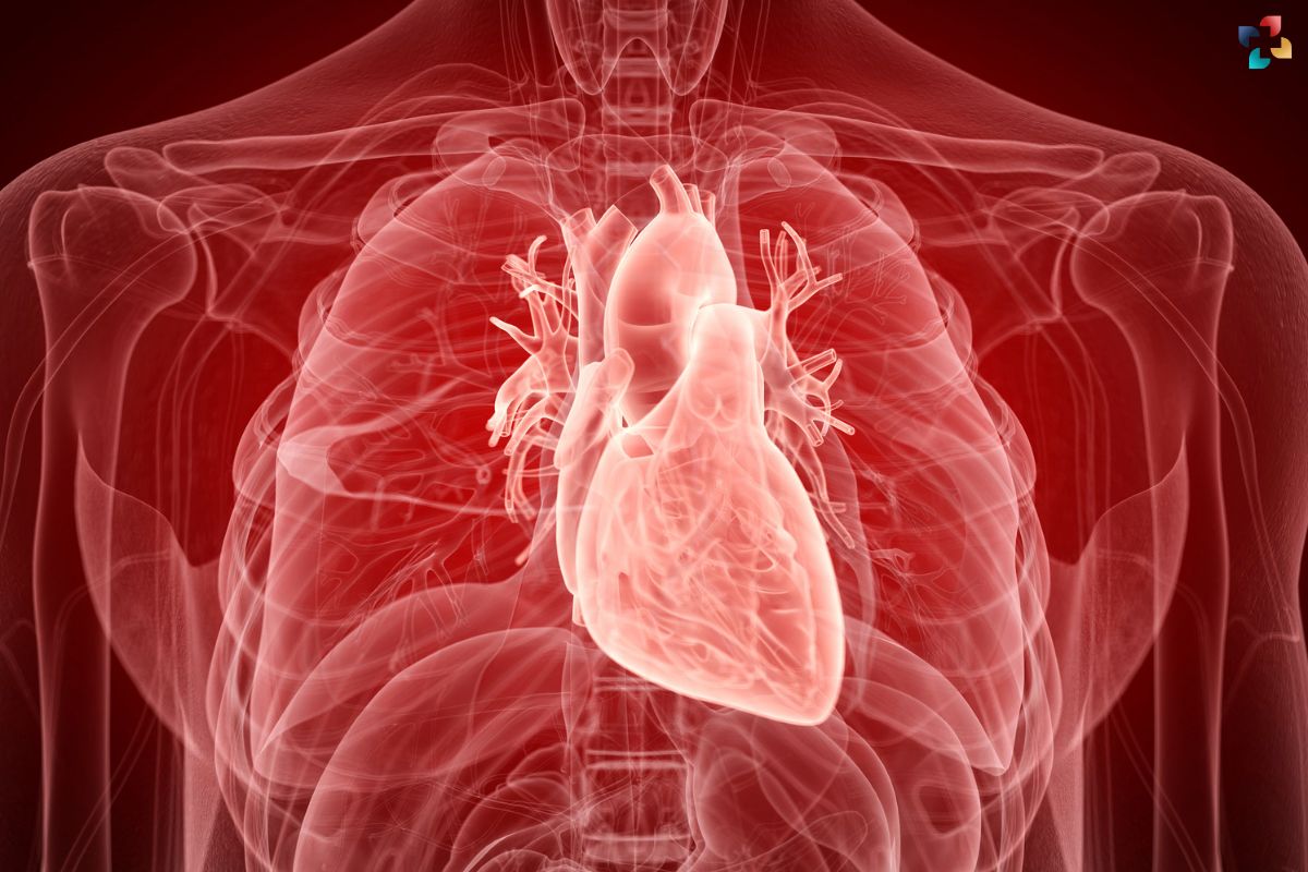 Rheumatic Heart Disease (RHD): Symptoms, Treatment, and Tips | The Lifesciences Magazine