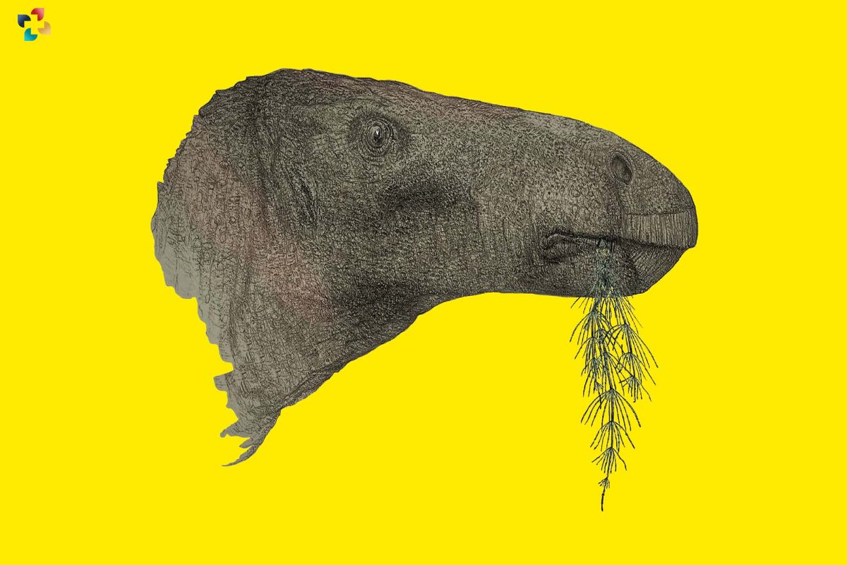 Comptonatus Chasei Identified: New Dinosaur Species Unearthed in England | The Lifesciences Magazine