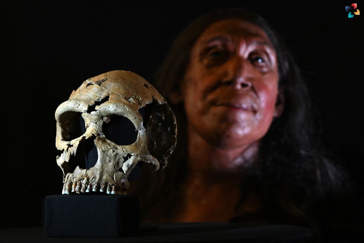 Caregiving Practices of Neanderthals: New Study Reveals Ancient Compassion and Care | The Lifesciences Magazine