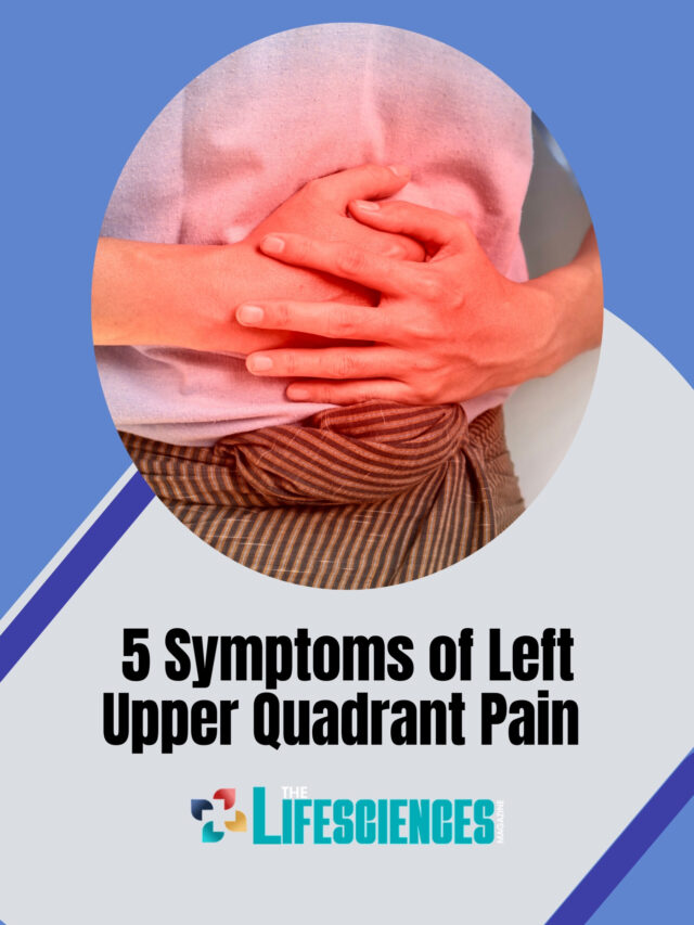 5 Symptoms of Left Upper Quadrant Pain | The Lifesciences Magazine