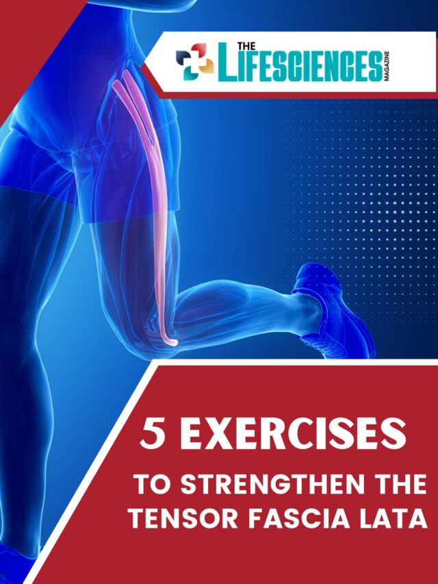 5 Exercises to Strengthen the Tensor Fascia Lata | The Lifesciences Magazine
