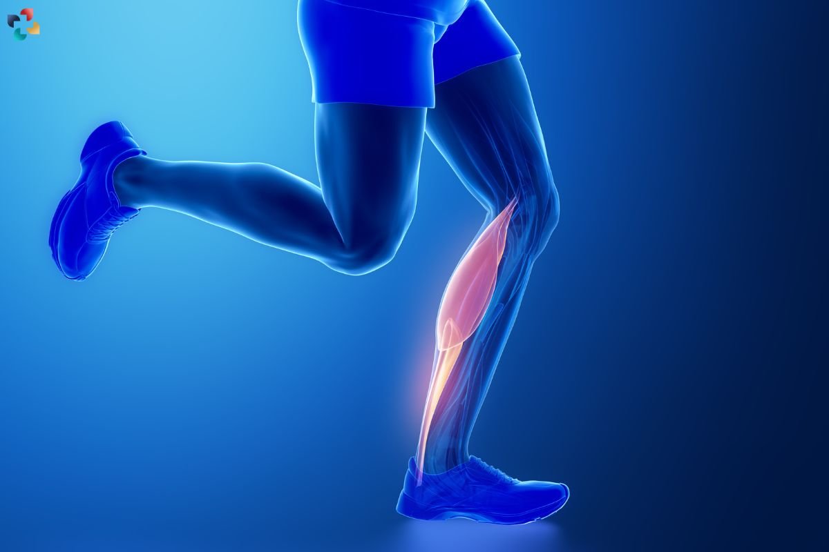 10 Effective Gastrocnemius Tendinopathy Exercises | The Lifesciences Magazine