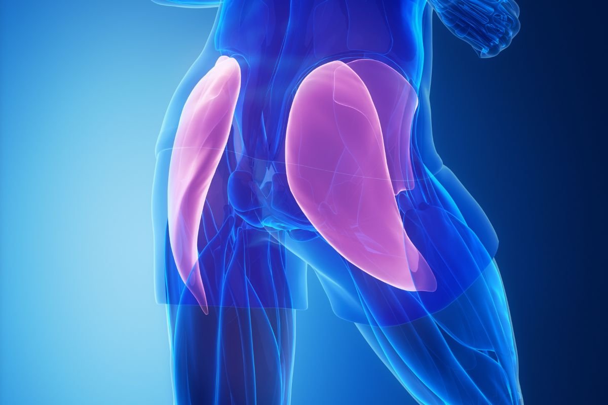 Gluteus Medius Pain: Causes, Symptoms, and Treatments | The Lifesciences Magazine