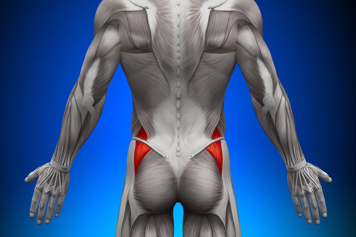 Gluteus Medius Pain: Causes, Symptoms, and Treatments | The Lifesciences Magazine