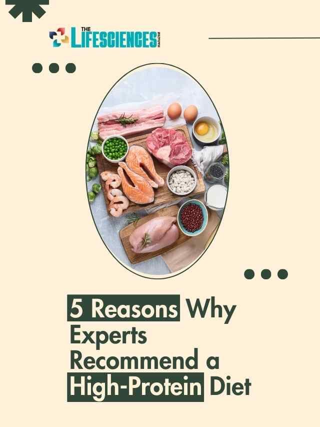 5 Reasons Why Experts Recommend a High-Protein Diet | The lifesciences magazine