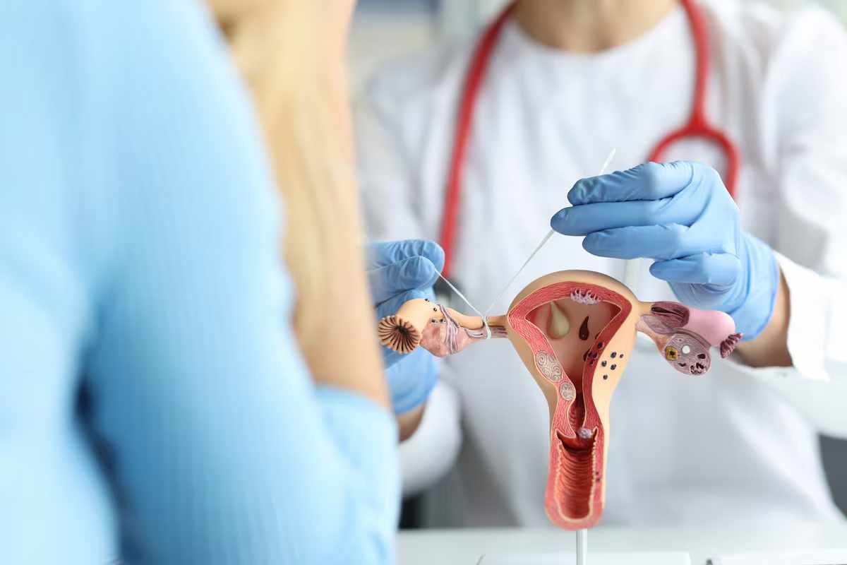 Salpingectomy Linked to Lower Ovarian Cancer Risk Safe for Sterilization | The Lifesciences Magazine