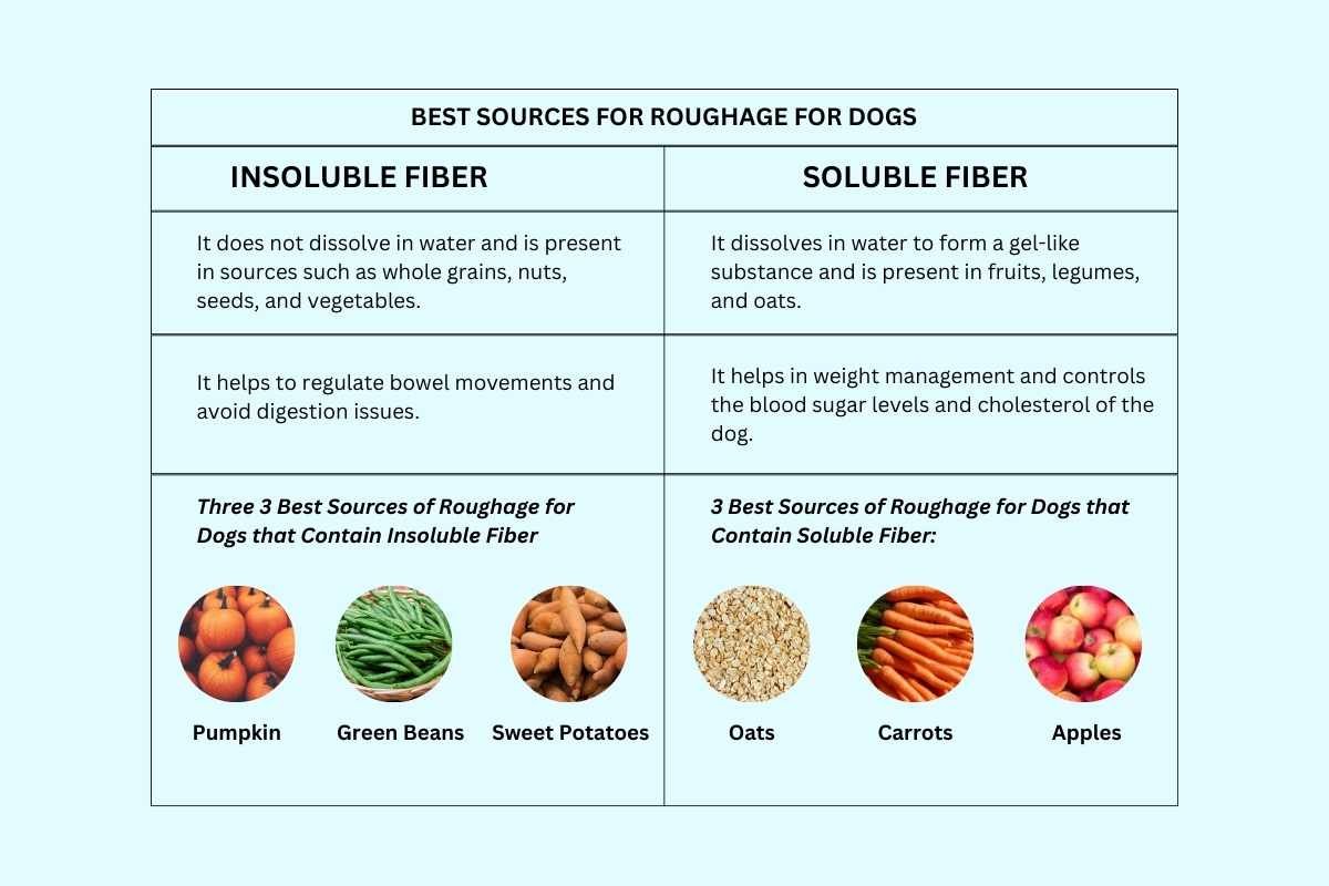 Understanding Roughage for Dogs: A Complete Guide | The Lifesciences Magazine