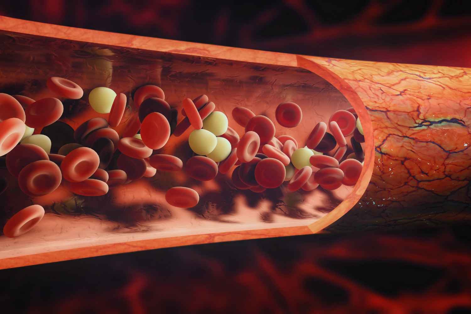 Lipid Metabolism’s Role in Red Blood Cell Recovery | The Lifesciences Magazine