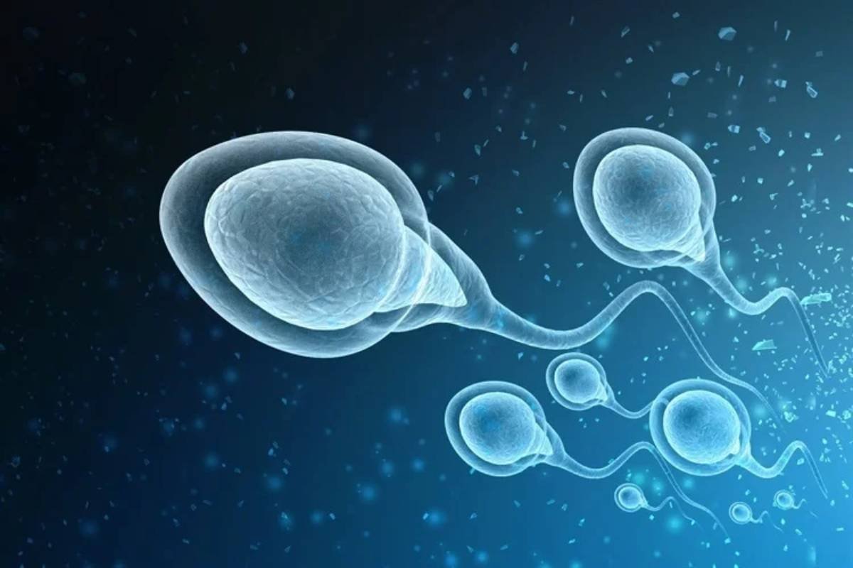 COVID-19 Reduces Male Fertility: Impact Semen Quality and Hormone | The Lifesciences Magazine