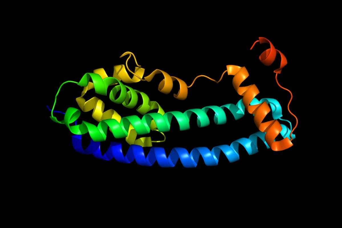 New Insights into Ruthenium-Based Anti-Cancer Agents | The Lifesciences Magazine