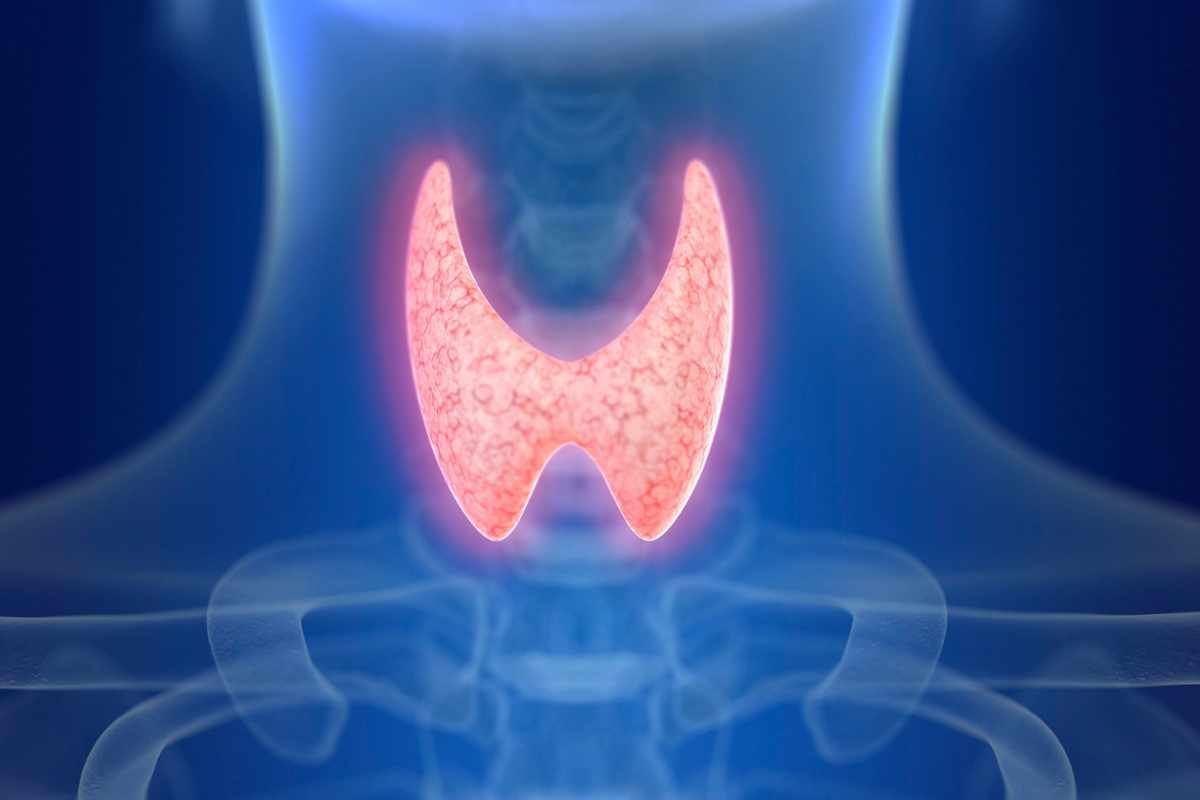 10 Signs of Thyroid Disorder Hypothyroidism; Treatment | The Lifesciences Magazine