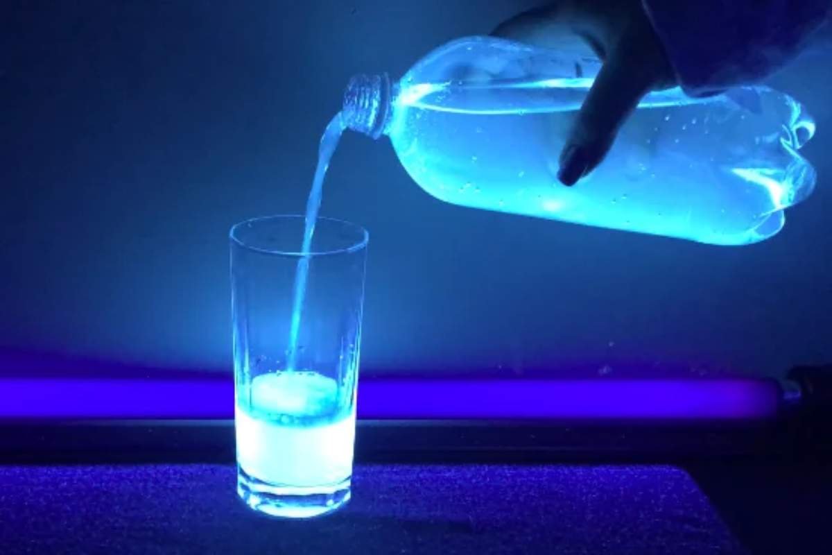 Glow-in-the-Dark Bioluminescence Experiment in 5 Steps | The Lifesciences Magazine