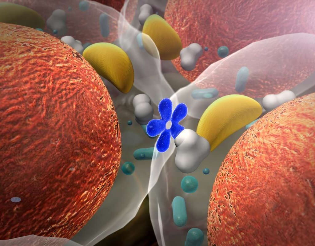 Tumor Biomarkers for Diagnosis: Role in Cancer Detection | The Lifesciences Magazine