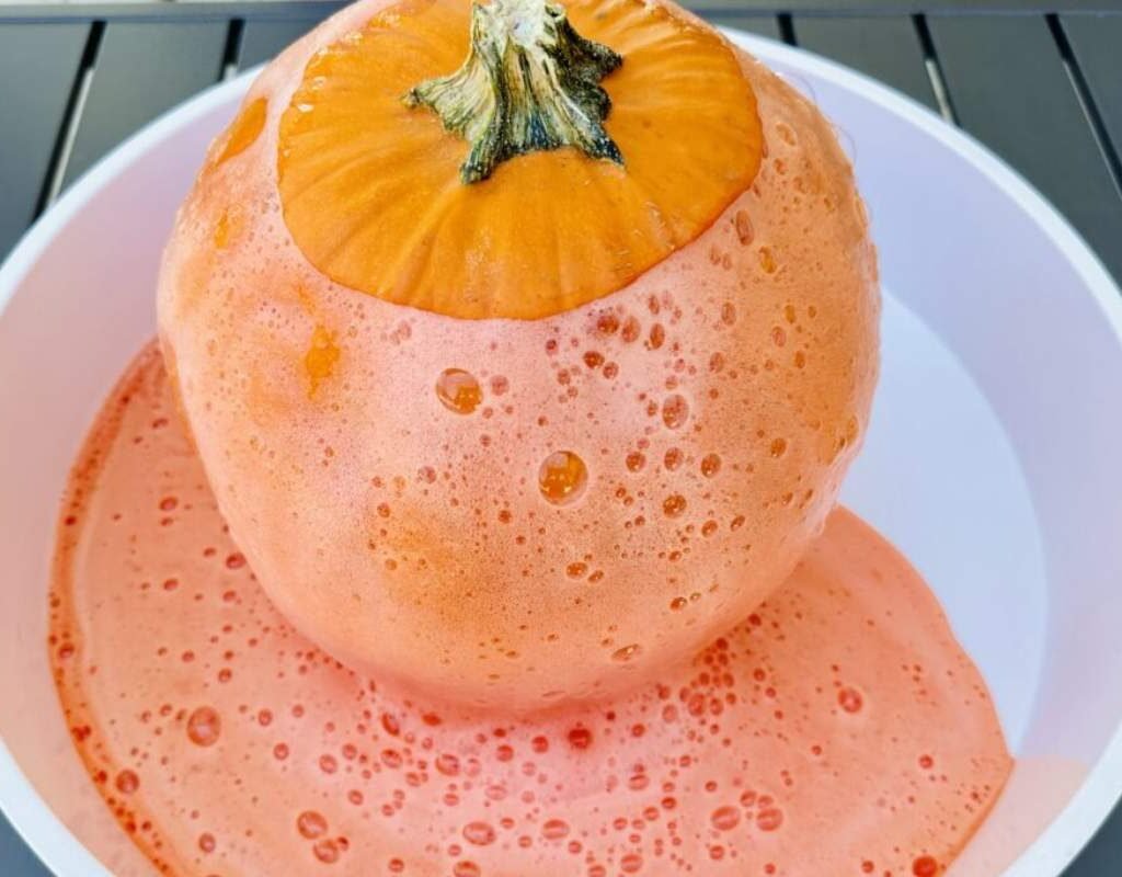 How to Make a Pumpkin Volcano (Halloween Experiment)? | The Lifesciences Magazine