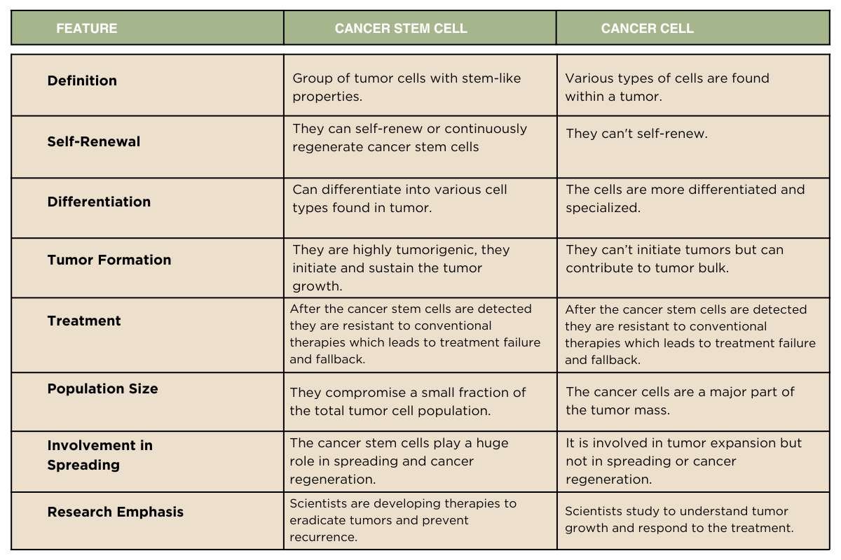 6 Innovation Methods of Cancer Stem Cell Detection | The Lifesciences Magazine