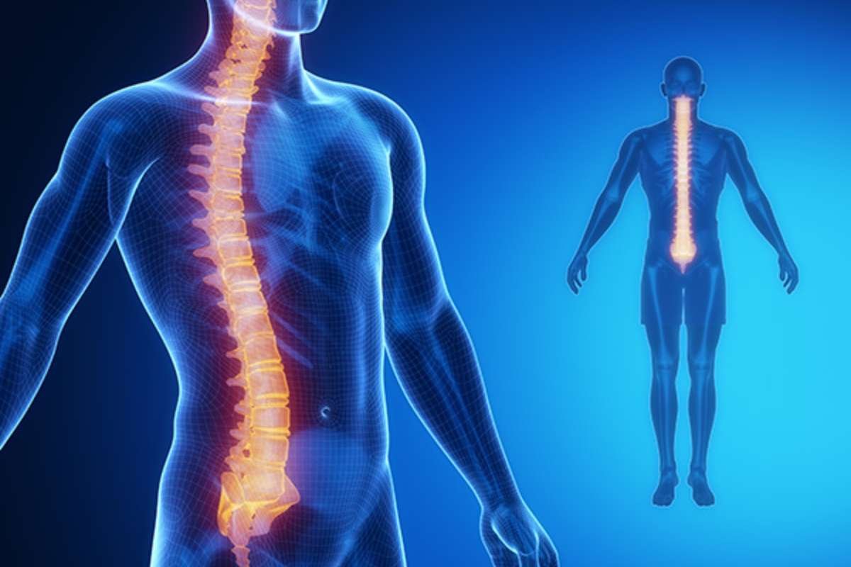 Spinal Cord Repair: Advances and Challenges in Treating Spinal Injuries