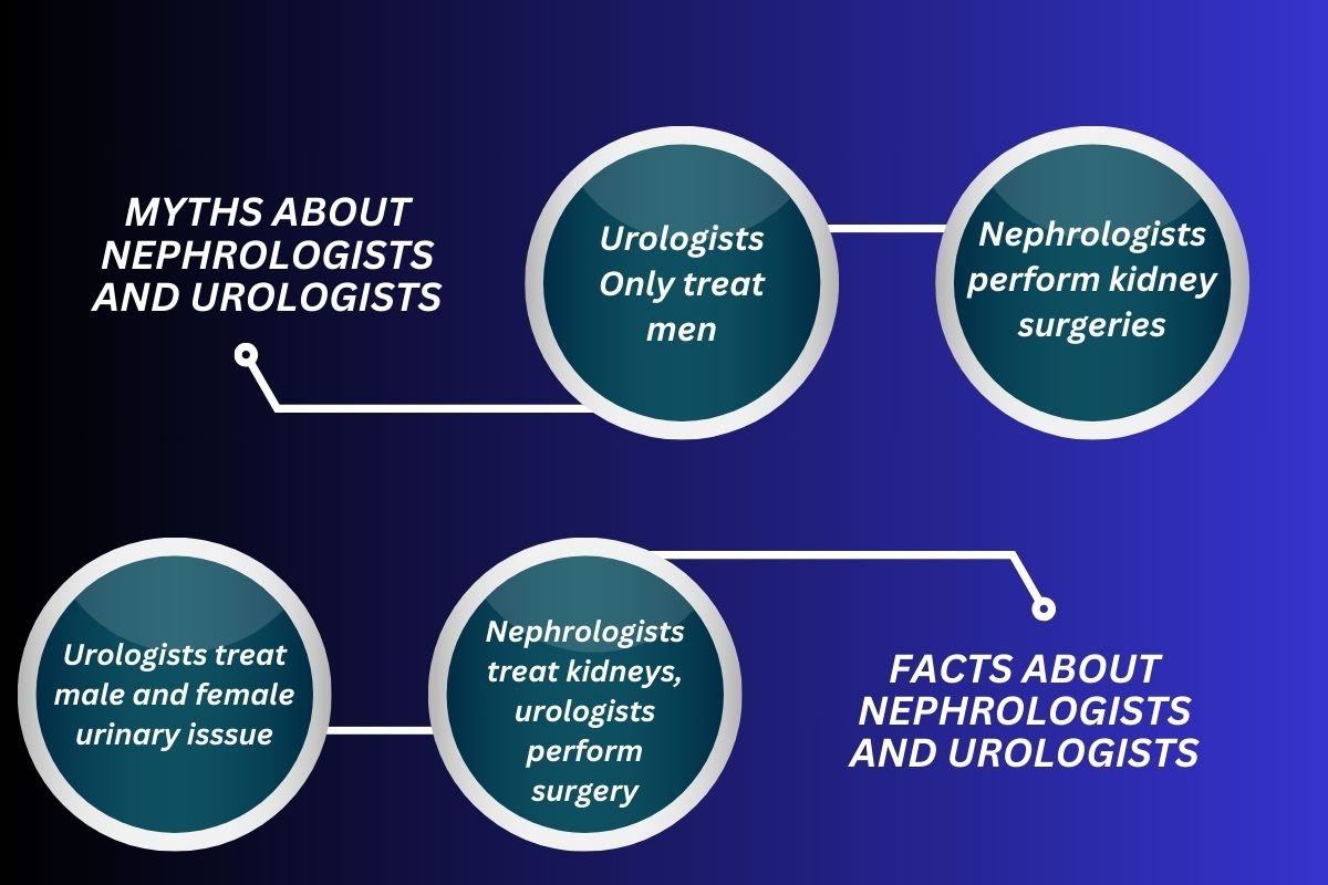 Nephrologist vs Urologist: Which Specialist Do You Need? | The Lifesciences Magazine