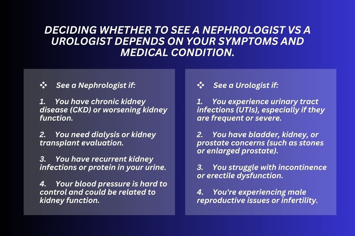 Nephrologist vs Urologist: Which Specialist Do You Need? | The Lifesciences Magazine