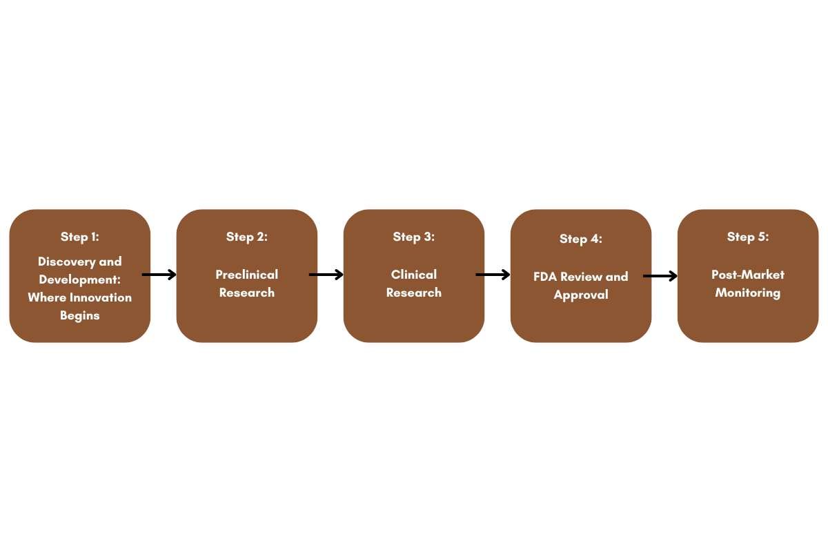 How does the Drug Development Process Works? 5 Stages | The Lifesciences Magazine