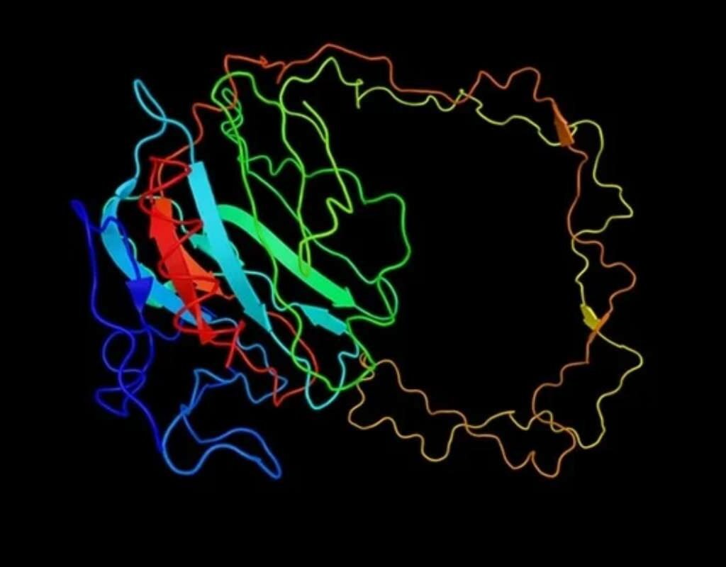 Protein Misfolding in Alzheimer's Disease: Ultimate Guide | The Lifesciences Magazine