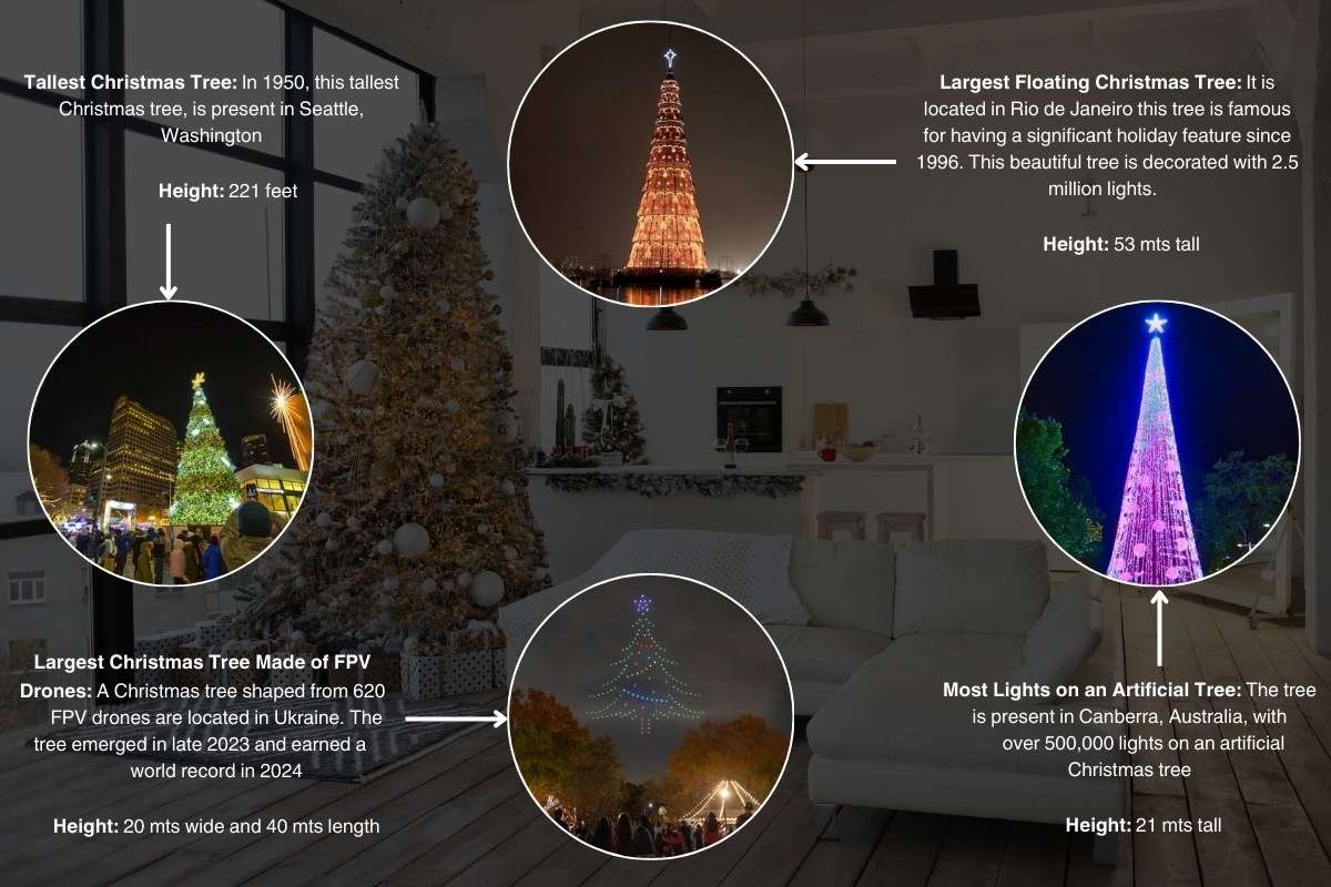 Surprising Facts About Christmas Trees You Didn't Know! | The Lifesciences Magazine