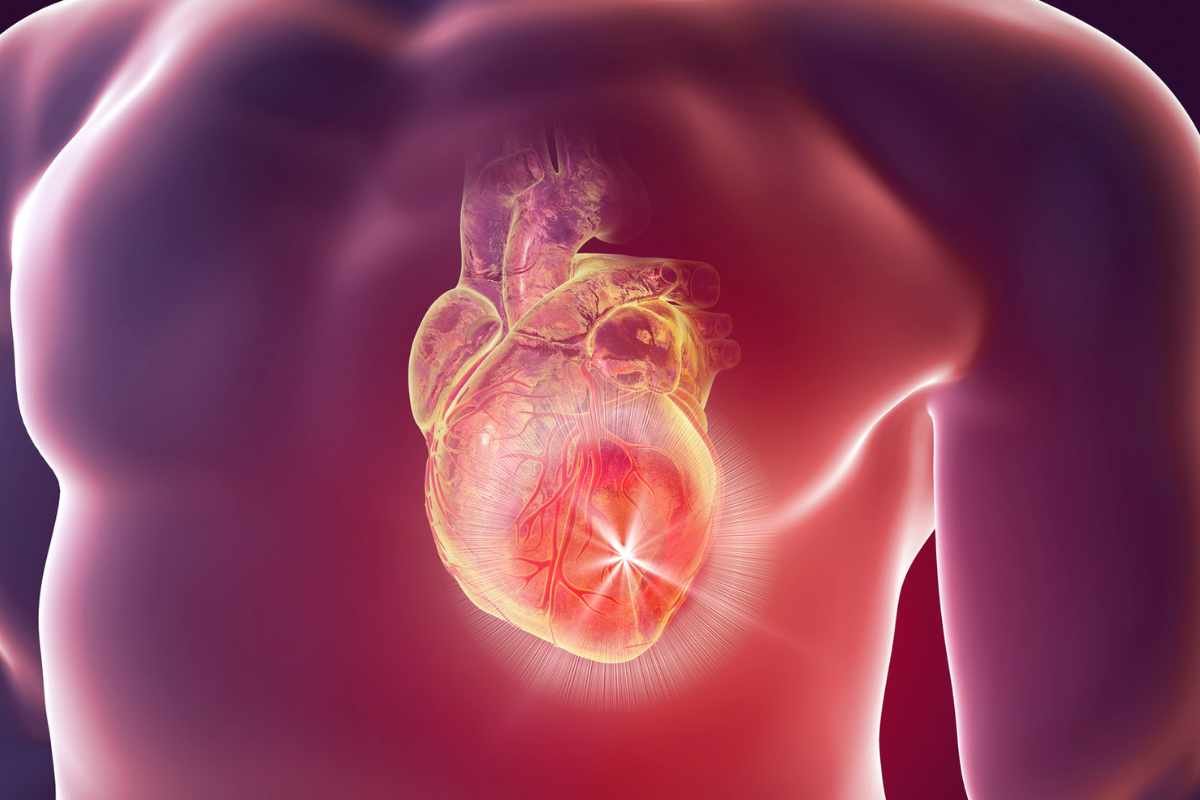 Cardiac Dysfunction in Diabetes: Symptoms, Causes and its Treatments