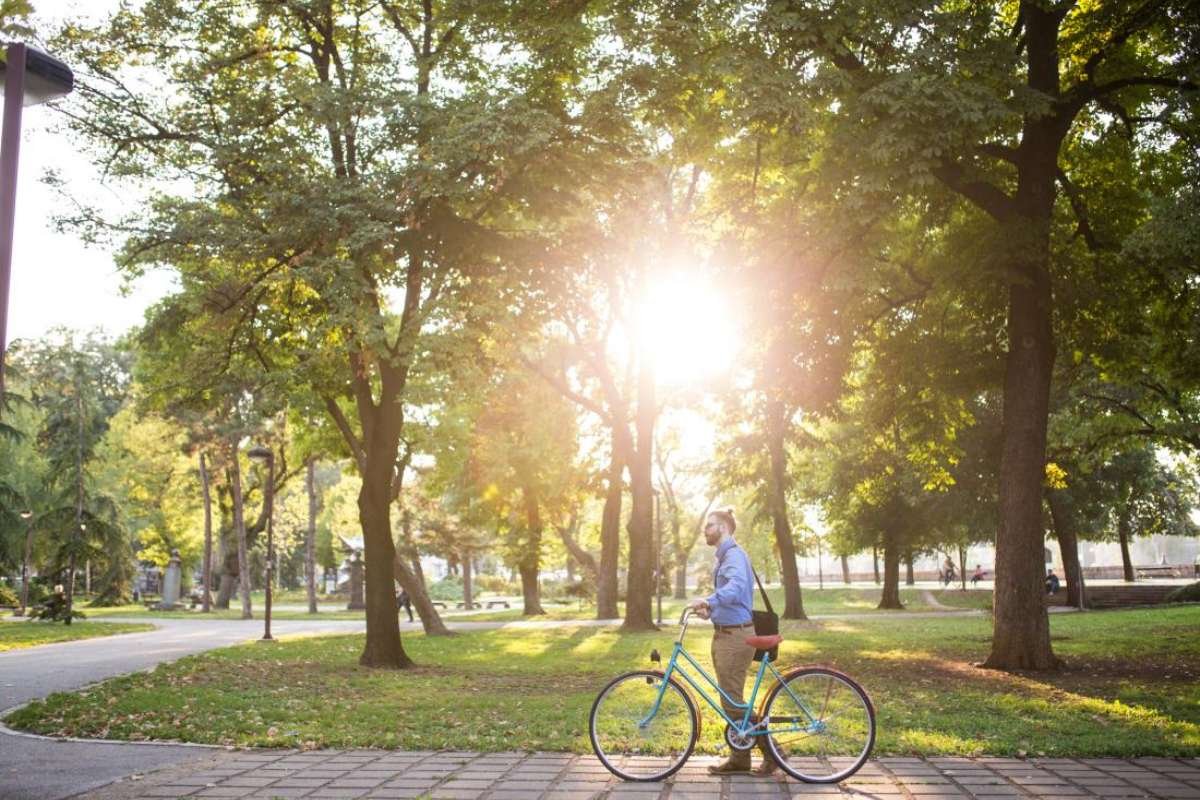 Urban Green Spaces: New Study Highlights Their Benefits for Healthier Lives | The Lifesciences Magazine