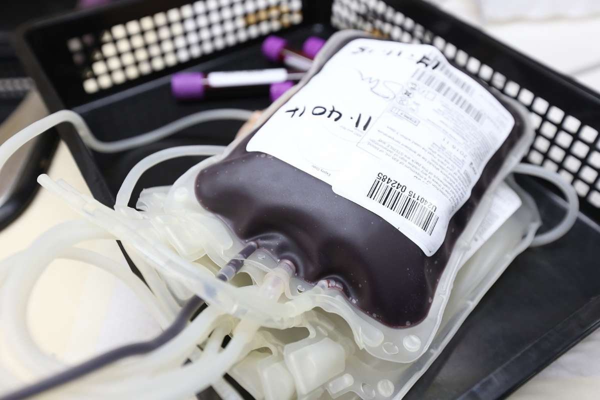 More Blood Transfusions Cut Death Rate in Anemic Heart Attack Patients | The Lifesciences Magazine