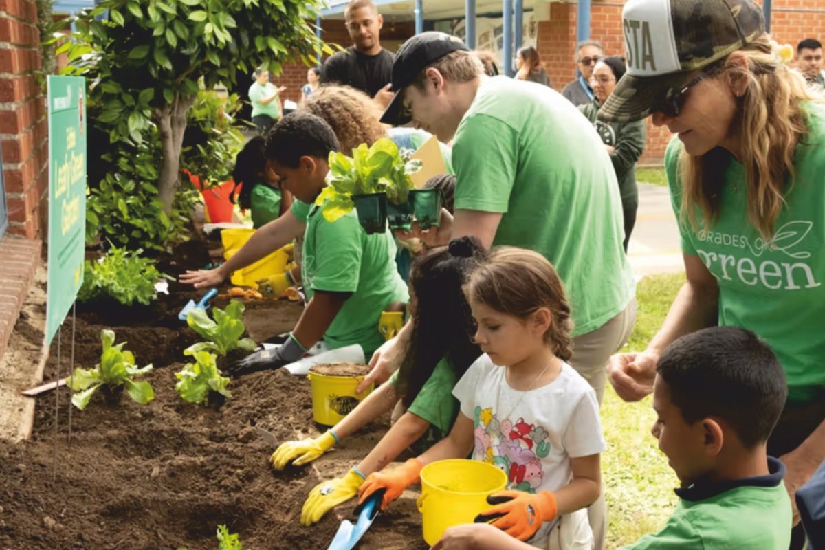 The Green Team Initiatives in Schools: Cultivating Sustainability and Responsibility