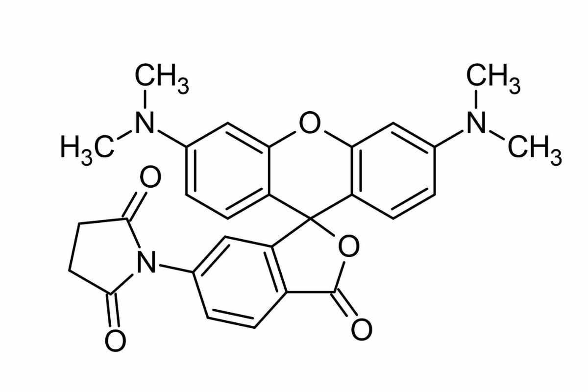 Tetramethylrhodamine Methyl Ester(Mitochondrial Mysteries) | The Lifesciences Magazine