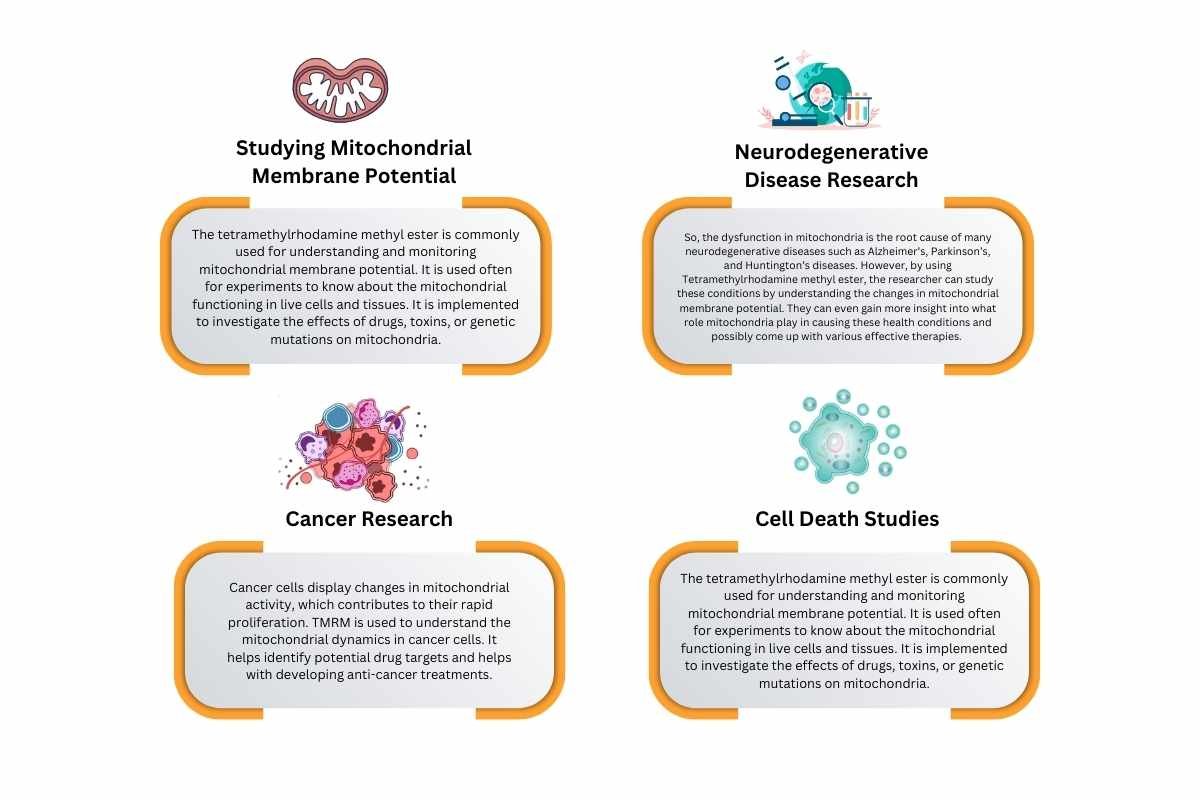 Tetramethylrhodamine Methyl Ester(Mitochondrial Mysteries) | The Lifesciences Magazine