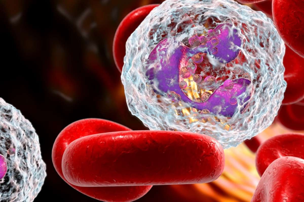 Peripheral Blood Mononuclear Cells: Boost Your Immune System | The Lifesciences Magazine