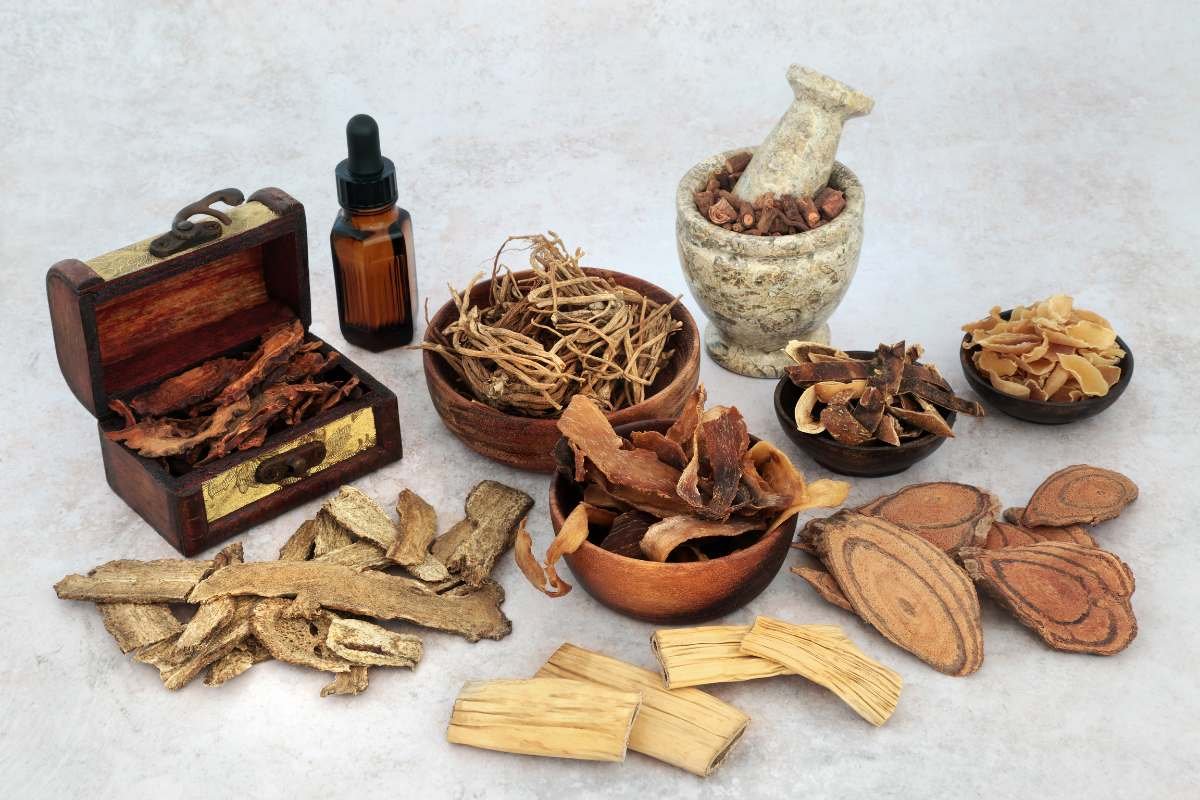 Traditional Chinese Medicine Gains Global Spotlight for Holistic Healing