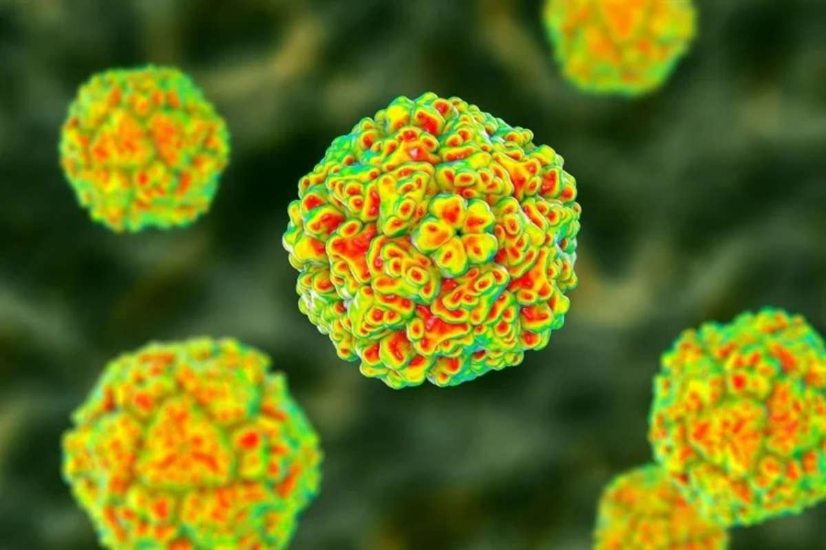 Rare Enterovirus C105 Detected in Spain Raises Health Concerns | The Lifesciences Magazine