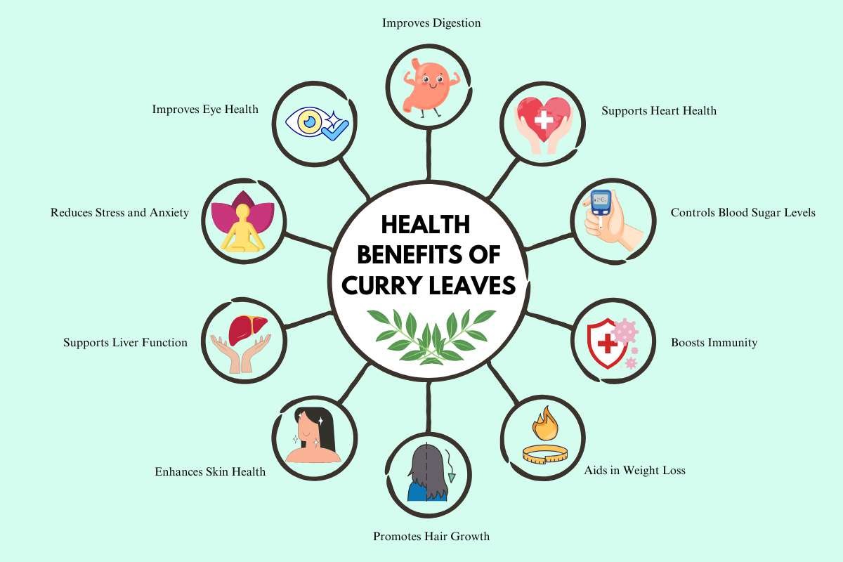 Top 10 Curry Leaves Plant Benefits: Boost Health Naturally | The Lifesciences Magazine