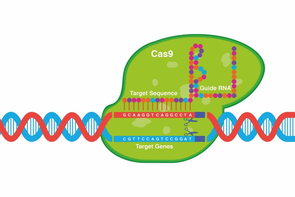 News of the Week | The Lifesciences Magazine