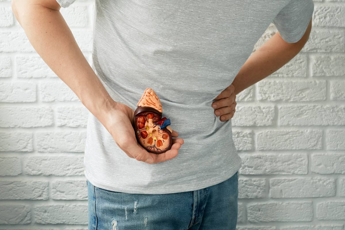 Carnivore Diet & Kidney Stones: New Study Shows Risk | The Lifesciences Magazine