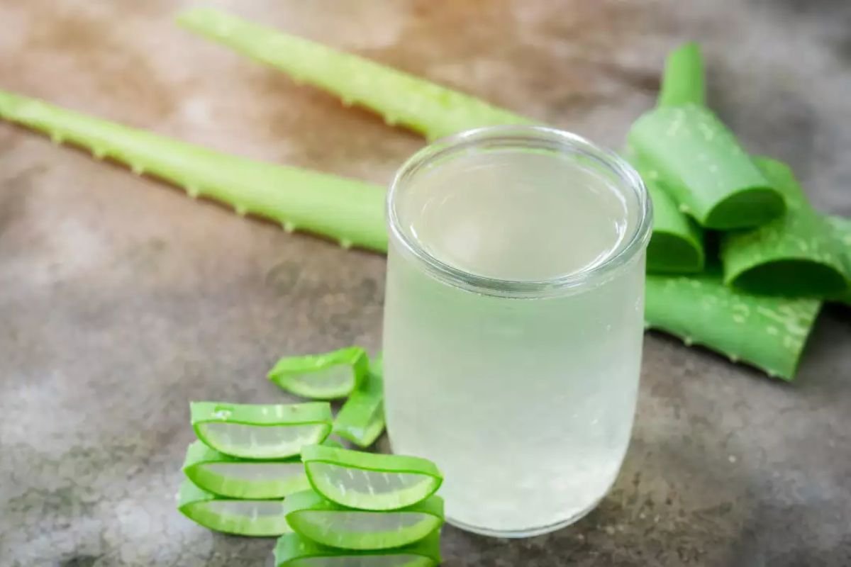 8 Health Benefits of Aloe Vera Need to Know (Skin to Immunity) | The Lifesciences Magazine